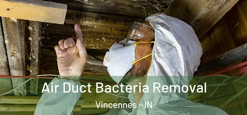  Air Duct Bacteria Removal Vincennes - IN