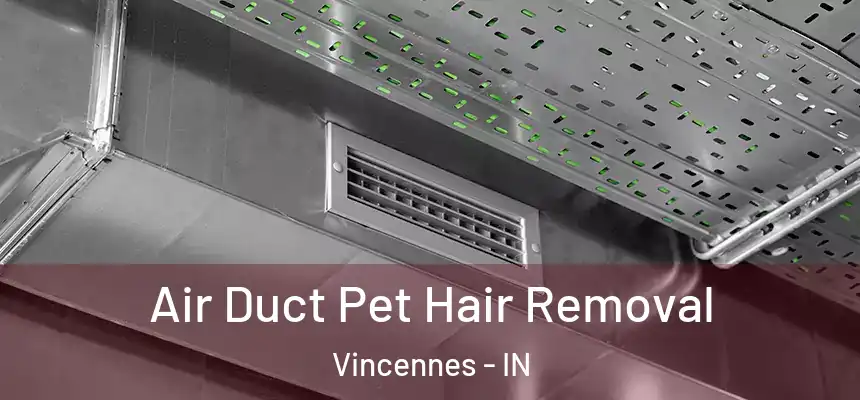  Air Duct Pet Hair Removal Vincennes - IN