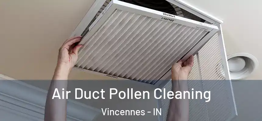  Air Duct Pollen Cleaning Vincennes - IN