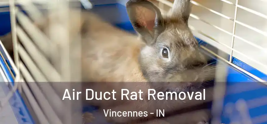  Air Duct Rat Removal Vincennes - IN