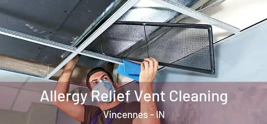  Allergy Relief Vent Cleaning Vincennes - IN