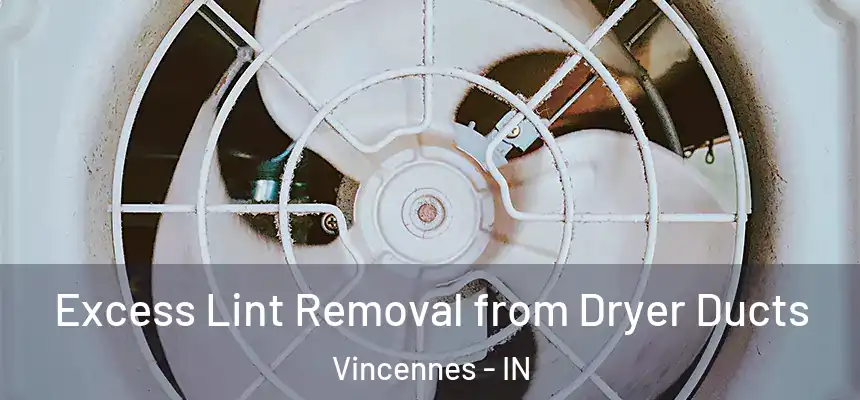  Excess Lint Removal from Dryer Ducts Vincennes - IN