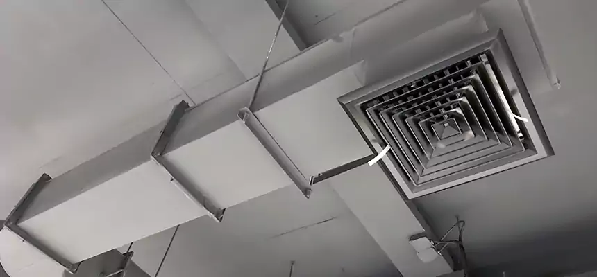 Our Pest Removal From Ducts Services in Vincennes, IN