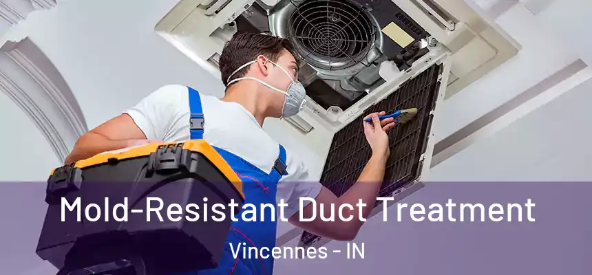  Mold-Resistant Duct Treatment Vincennes - IN
