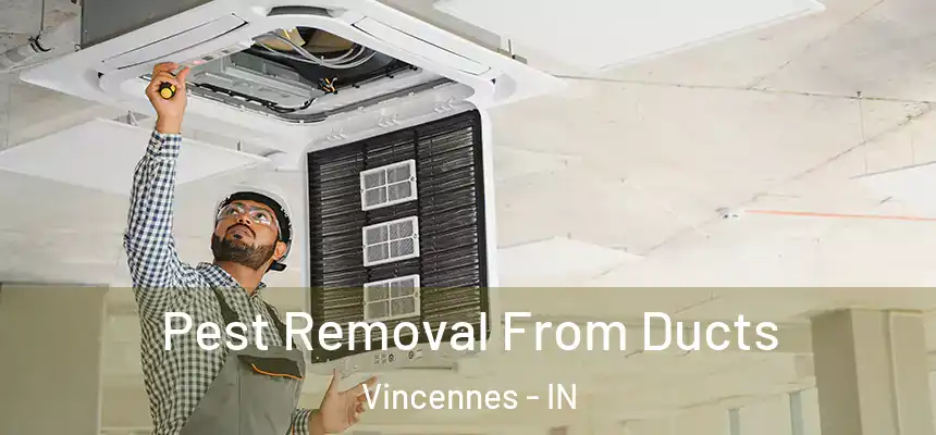  Pest Removal From Ducts Vincennes - IN