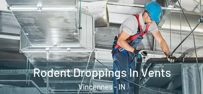 Rodent Droppings In Vents Vincennes - IN