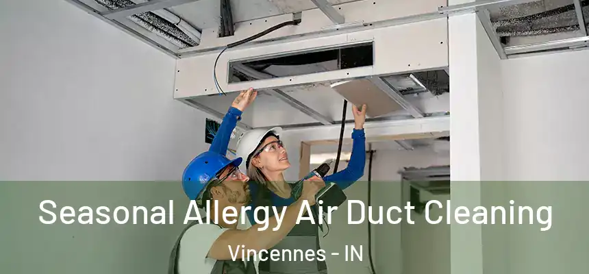  Seasonal Allergy Air Duct Cleaning Vincennes - IN
