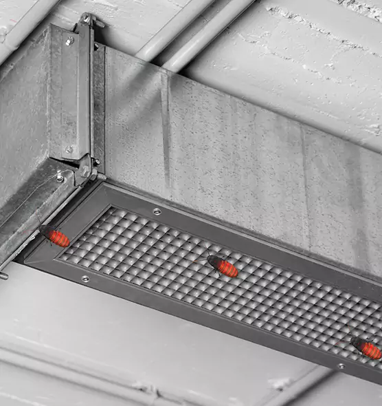 Affordable Insect Removal from Air Ducts in Vincennes, IN